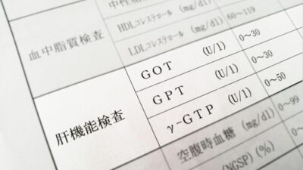 肝機能障害について解説｜渋谷・大手町・みなとみらい・田町三田・新宿の内科ならMYメディカルクリニック