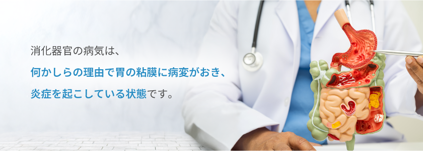 胃炎・胃がん・逆流性食道炎・感染性腸炎・虫垂炎などの消化器官の病気